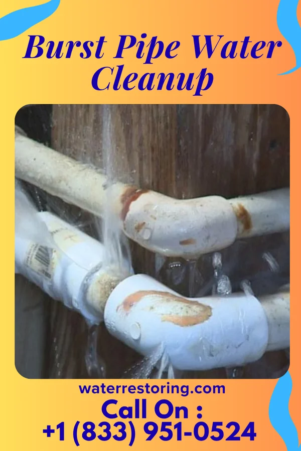 Burst Pipe Water Cleanup in Millburg, MI
