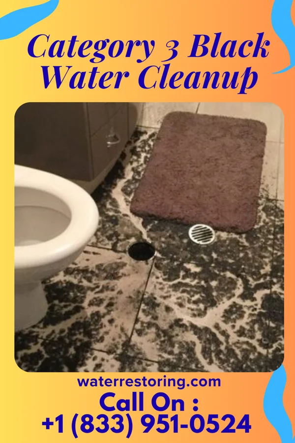 Category 3 Black Water Cleanup in Millburg, MI