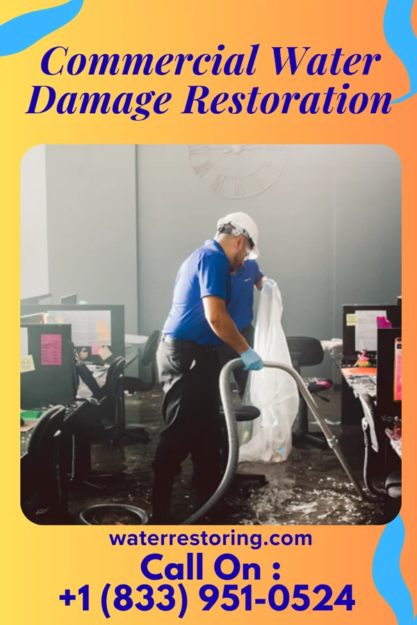 Commercial Water Damage Restoration in Millburg, MI