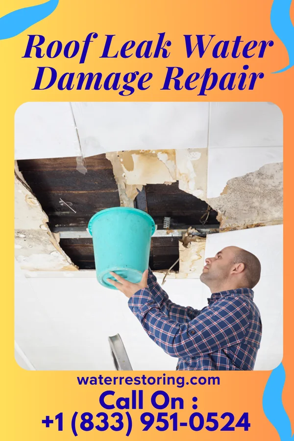 Roof Leak Water Damage Repair in Millburg, MI