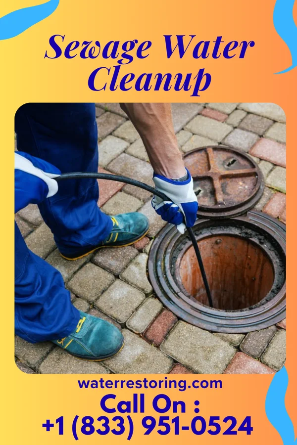 Sewage Water Cleanup in Millburg, MI